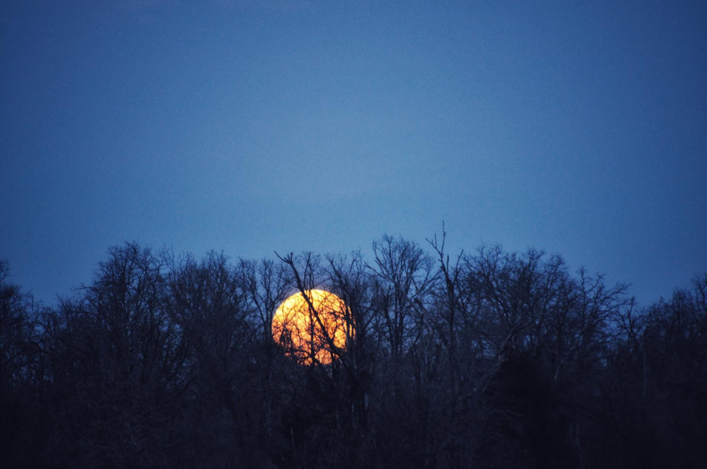 Celebrate The Winter Moons: With Adorable Free Patterns