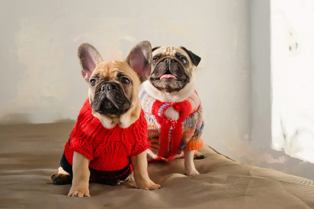 Knitting and Crochet for Pets Lantern Moon