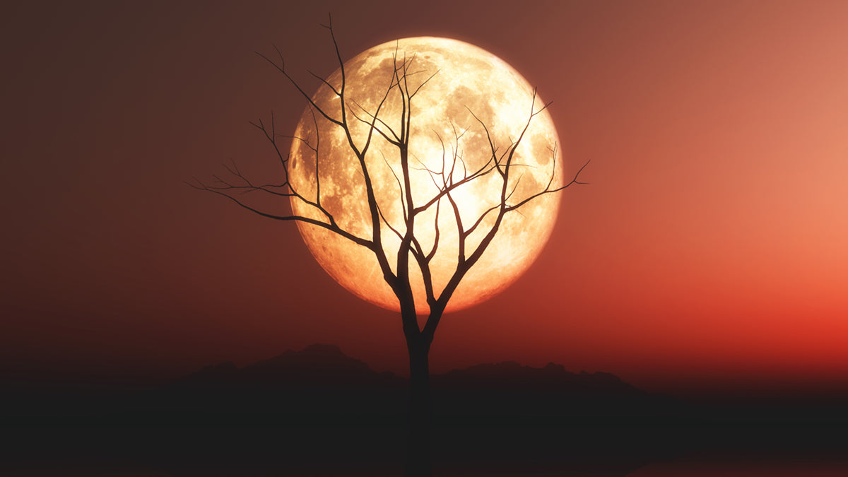 Sturgeon Moon 2026: Late-Summer Knitting & Crochet Ideas