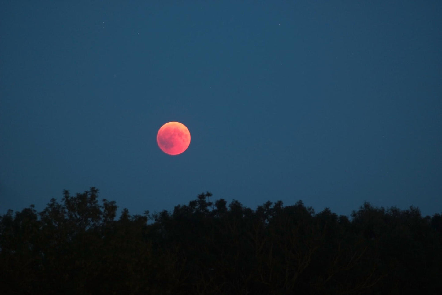 June's Strawberry Moon: Summer Knitting Inspiration
