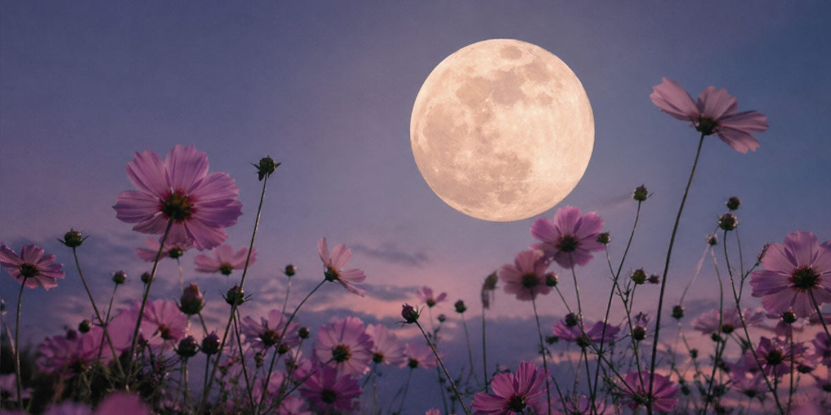 May's Double Full Moons: Inspiration for Knitters, Crocheters, and Makers